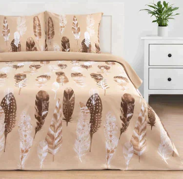 Постельное белье Этель евро «Перья» (вид 1) 200*217 см,240*220 см,70*70 см -2 шт